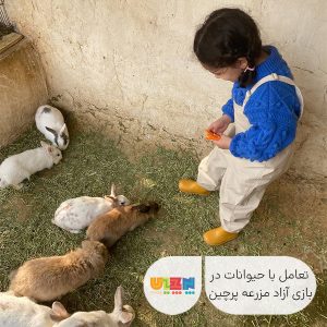 بازی آزاد مزرعه در پرچین