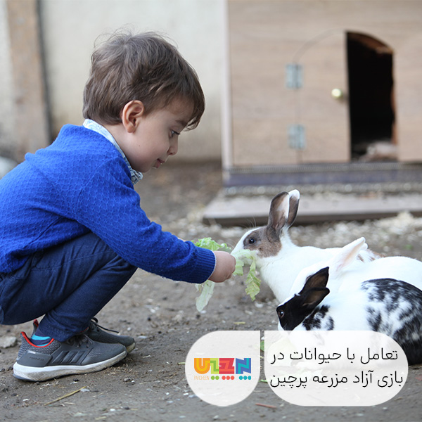بازی آزاد مزرعه در پرچین